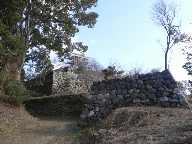 DSC00303.jpg