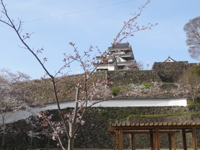DSC00546.jpg