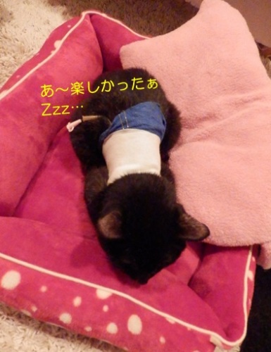 20151007_4.jpg