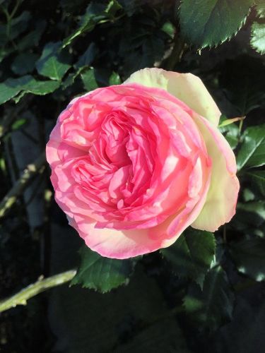 2016-04-30 16.18.41.jpg