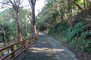 九州560.jpg