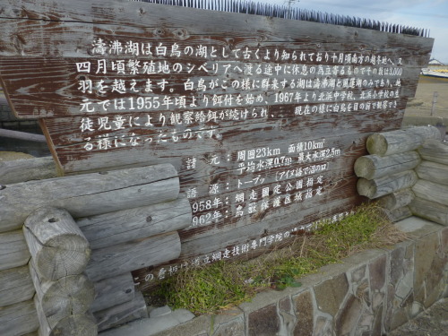 P1010134.JPG