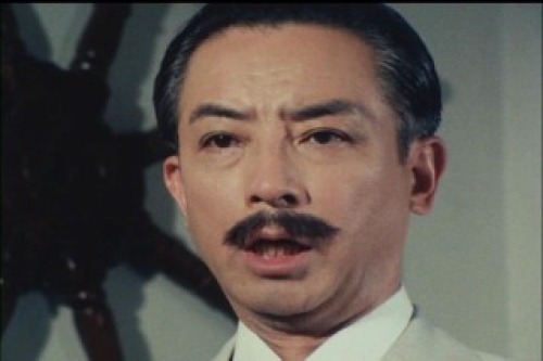PDVD_006.jpg