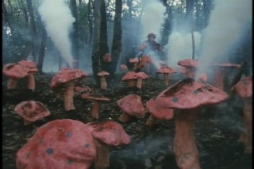 PDVD_000.jpg