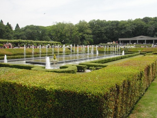 神代植物園1