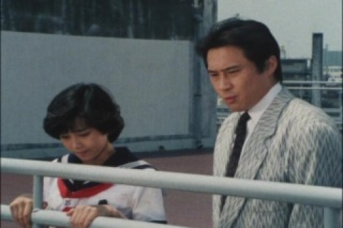 PDVD_016.jpg
