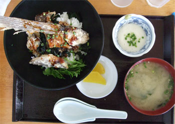 屋久島115.jpg