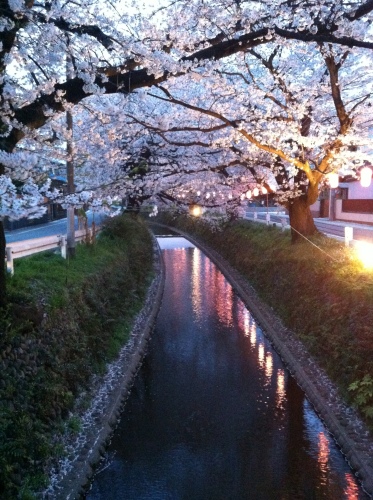 201304012339_2767_iphone.jpg