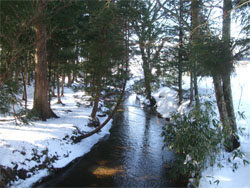 遠野9.jpg