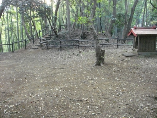 小机城根古谷腰曲輪 (2) (500x375).jpg