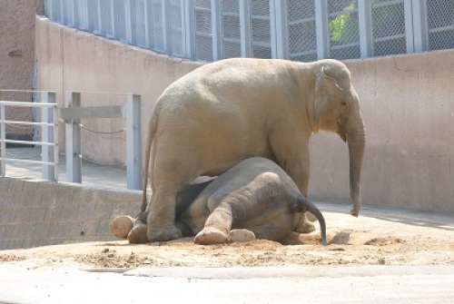 多摩動物公園6.jpg