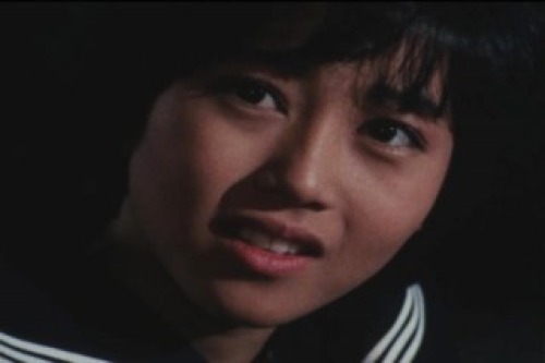PDVD_025.jpg