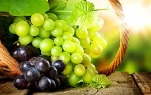 Delicious-green-grapes-and-red-grapes_s.jpg