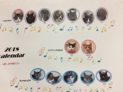 IMG_0767 - コピー.JPG