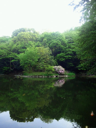 20130429_16.JPG