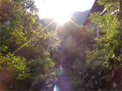 土佐山9.jpg