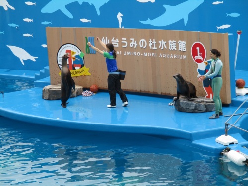 仙台うみの杜水族館