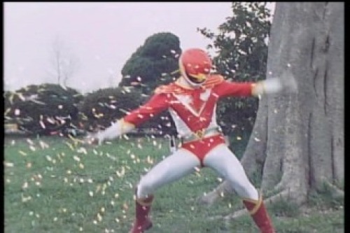 PDVD_022.jpg