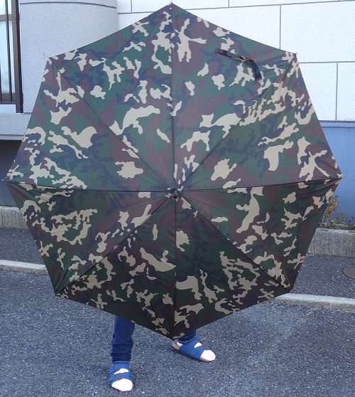 かさ02.JPG