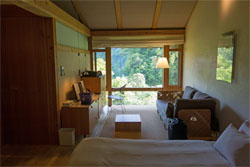 土佐山39.jpg