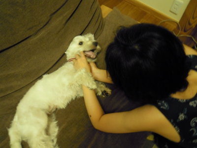 20100706.jpg