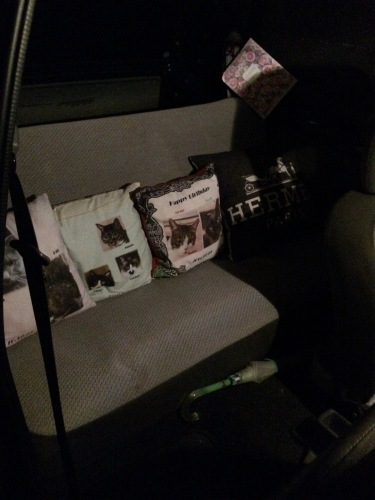 IMG_0879 - コピー.JPG