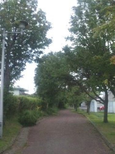 2014夏休み (2).jpg