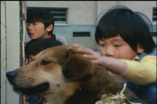 PDVD_003.jpg