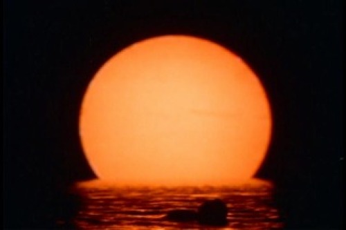PDVD_007.jpg