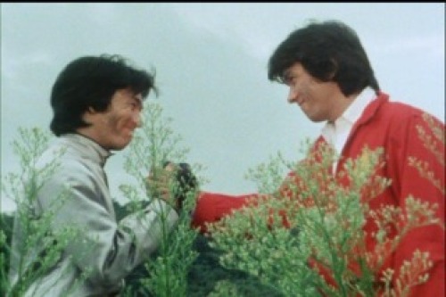 PDVD_036.jpg