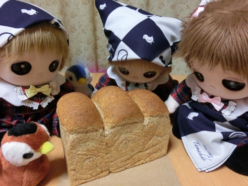 CIMG1664 (1280x960).jpg