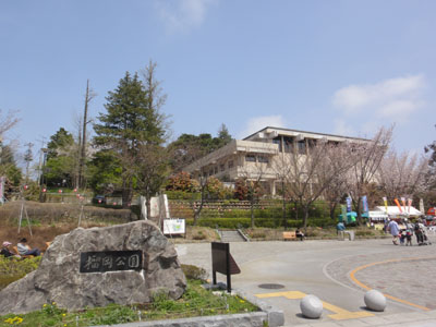 榴岡3.jpg