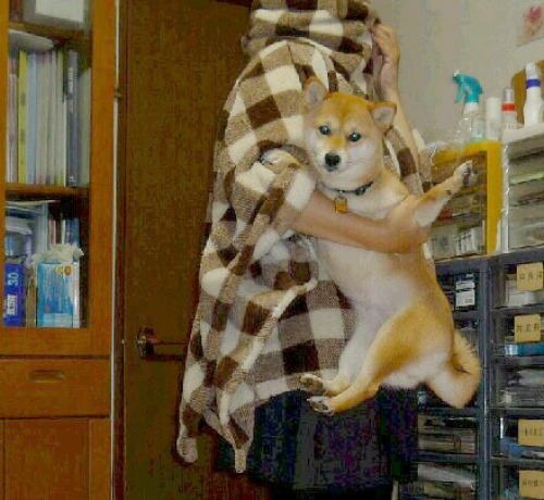 あれー.JPG