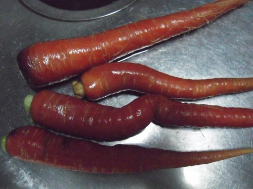 DSCN4663 (640x480).jpg