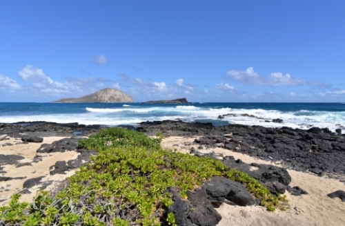 pict-マカプウ 21.jpg