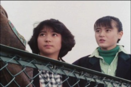 PDVD_212.jpg