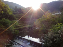 土佐山11.jpg