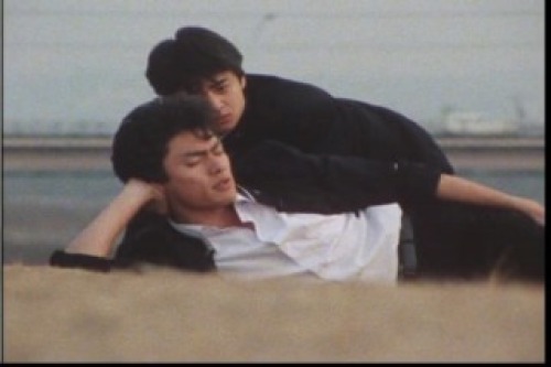 PDVD_030.jpg