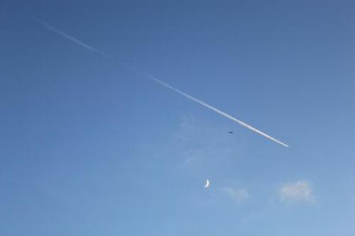 IMG_8320.JPG