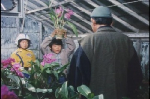 PDVD_008.jpg