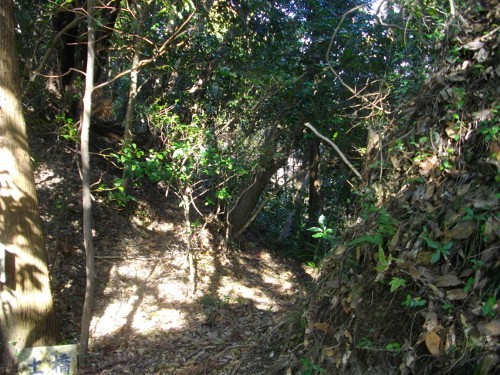 滝田城本丸堀切2 (500x375).jpg