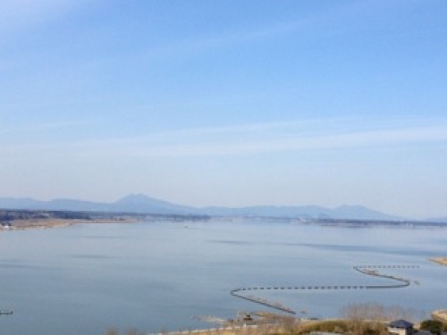 霞ヶ浦1.jpg