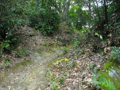 佐和山城搦め手登城道 (500x375).jpg