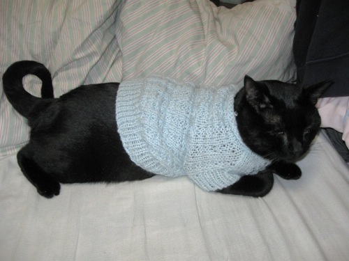 猫のセーター8.jpg