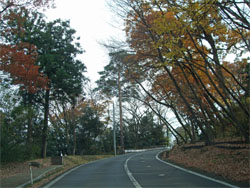青葉城1.jpg
