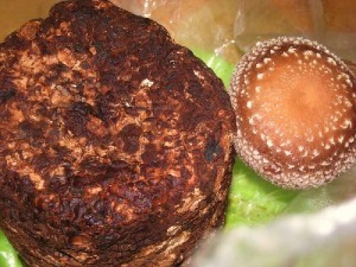 DSCN5534 (300x225).jpg