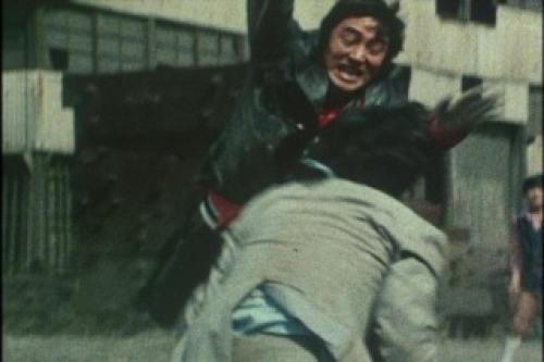 PDVD_002.jpg