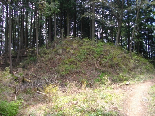 青梅丘陵雷電山 (3) (500x375).jpg