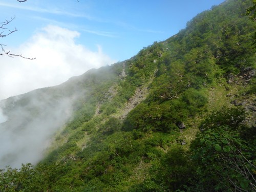 北岳左股より八本歯のコル.JPG