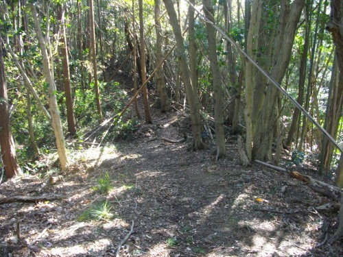 滝田城堀切 (500x375).jpg